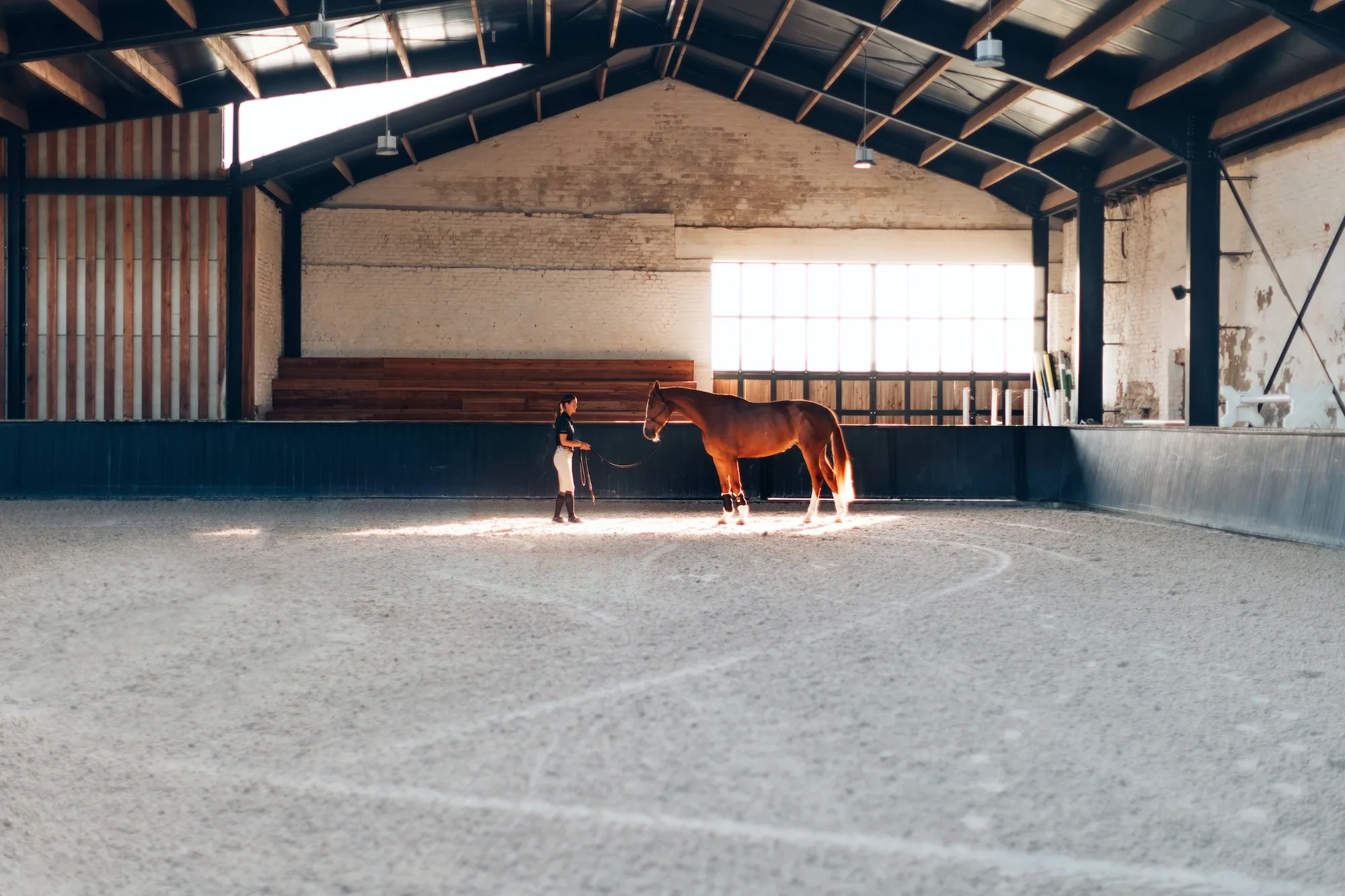 educator in the equine center with horse