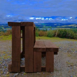 Horse Mounting Blocks